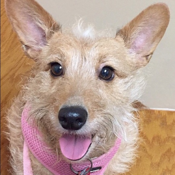 Meet your Posher, Lyndsae - Picture 2 of 4